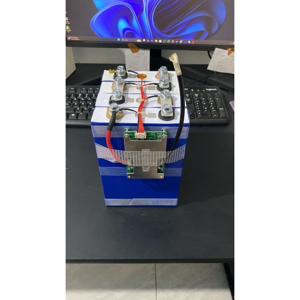 Baterai LiFePO4 12V 100Ah New Cell Grade A + BMS (Opsi Charger & 50Ah) 6