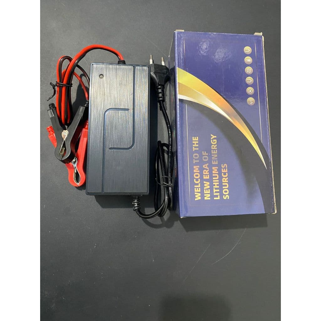 Charger Baterai LiFePO4 12V 14,6V 5A / 10A dengan Kipas & Auto Cut Off 11