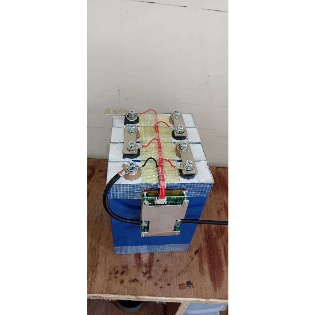 Baterai LiFePO4 12V 100Ah New Cell Grade A + BMS (Opsi Charger & 50Ah)