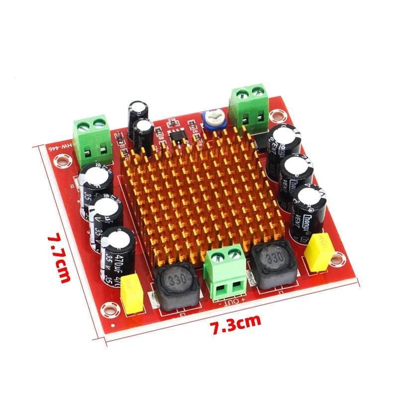 Power Amplifier Mono 150W HW-446 Class D TPA3116D2 + Preamp NE5532 3